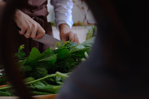 person preparing healthy meals