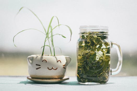 image of a water bottle and herbal tea