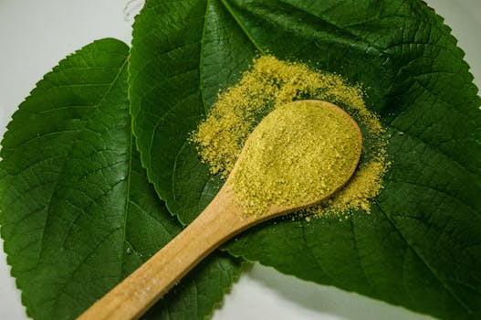 image of stevia leaves and powder